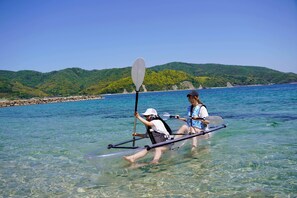 Miscellaneous - Tadayoi (Ama)