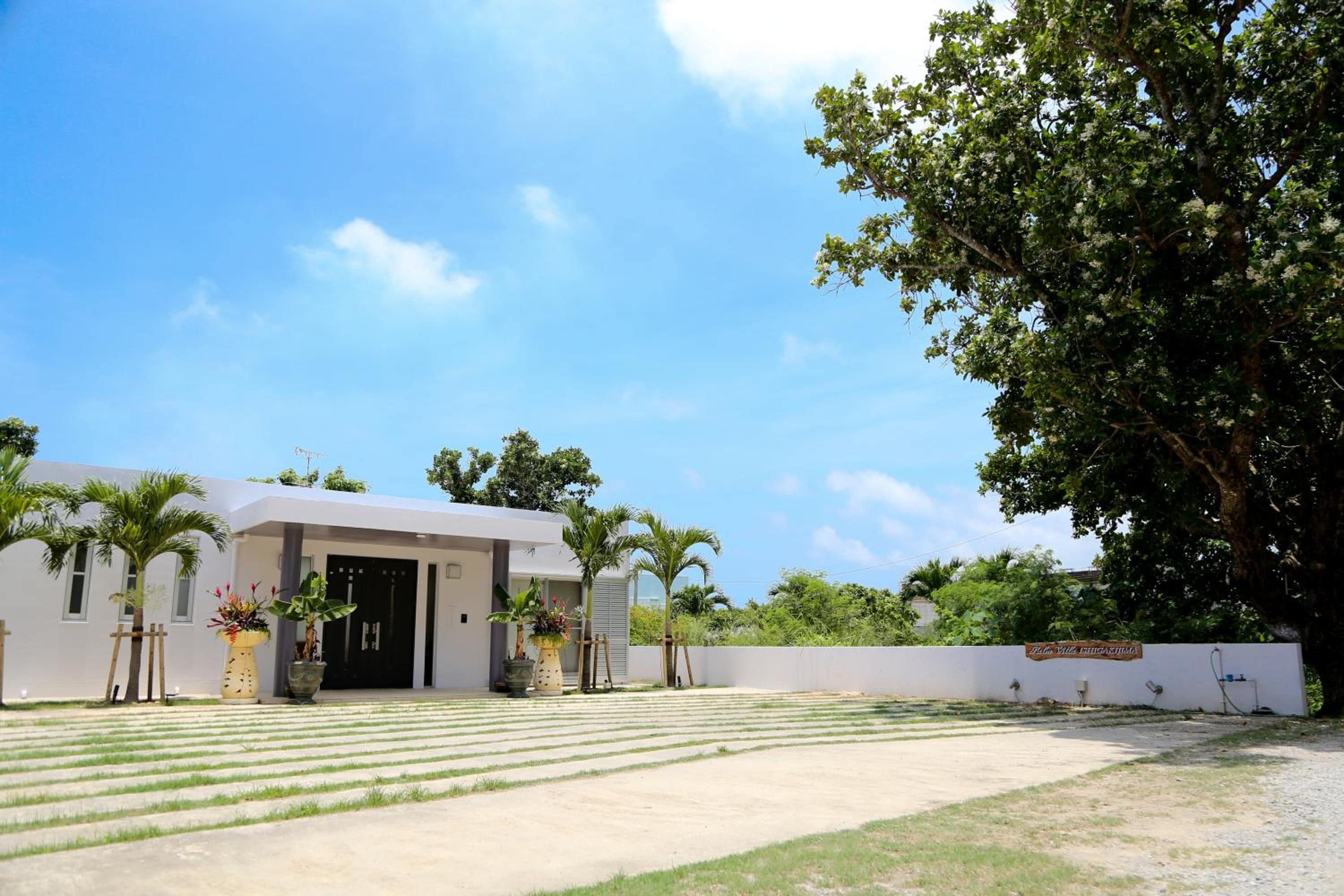 A modern building with a flat roof, a paved entrance area, and a large tree to the right.