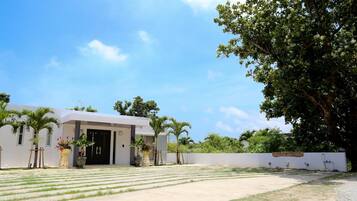 A modern building with a flat roof, a paved entrance area, and a large tree to the right.