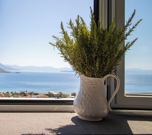A white ceramic pot with a plant on a windowsill, overlooking a coastal landscape.
