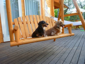 Deux chiens sont assis sur un banc-balançoire en bois, qui se trouve sur une terrasse en bois.