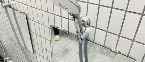 A shower with a handheld showerhead and a wall-mounted control panel.