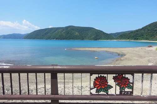 Denpaku Lily no Ie <amamioshima>