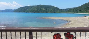 Denpaku Lily no Ie <amamioshima>