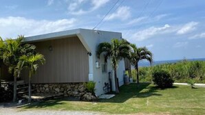 A single-story building with a stone foundation, a flat roof, and a light-colored exterior. There are palm trees and shrubs in the front yard.