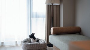 Une chambre moderne avec un canapé gris, un coussin pour animal de compagnie de couleur beige et une grande fenêtre ornée de rideaux légers.