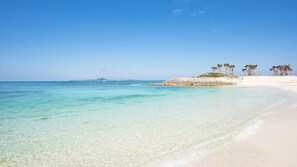 Beach - Rereso Okinawa Churaumi (Motobu)