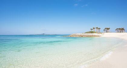 Rereso Okinawa Churaumi