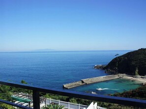 Property grounds - Garden Villa Shirahama (Shimoda)