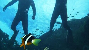Two people swimming underwater with a fish nearby. - United Resort Kibogaoka (Onna)