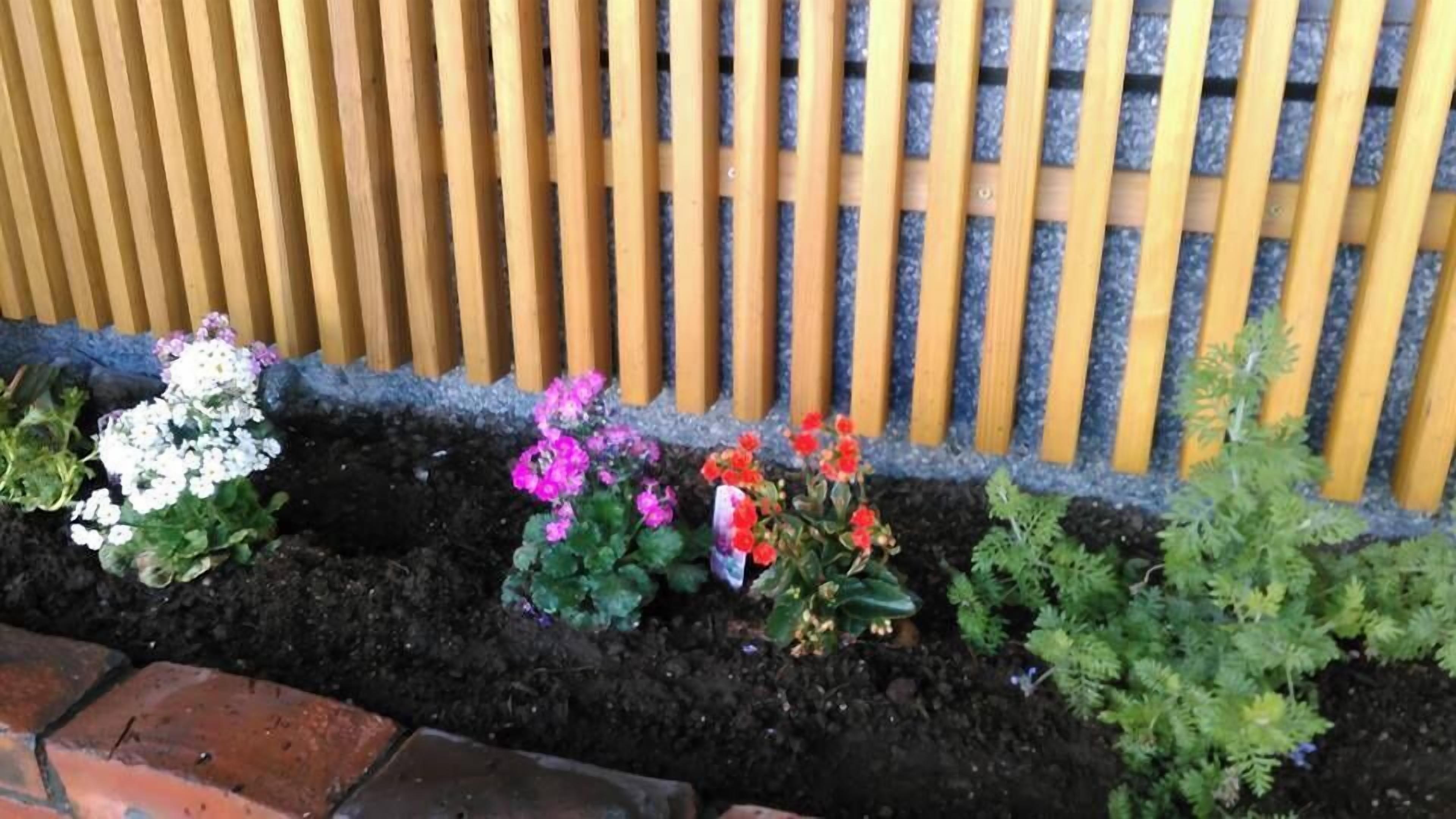 Un parterre fleuri avec différentes plantes et fleurs.