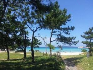 A pathway leading to a beach with pine trees on the left and a clear view of the sea and distant mountains. - Business Hotel Mikuni (Goto)