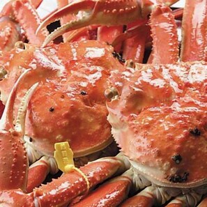 Food and drink - Umi no Yado Sahei (Minamiechizen)