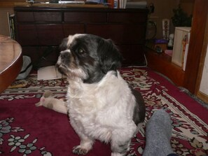 Interior - Umi no Yado Sahei (Minamiechizen)