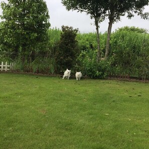 Property grounds - Smith no Ie Chosei (Chosei)