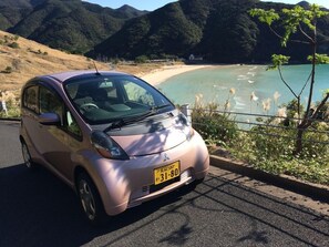 Property grounds - Nico House (Goto)