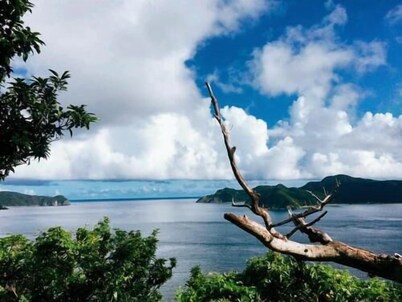 Sakai Guest House Amami