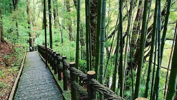 Khuôn viên nơi lưu trú