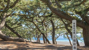 海灘