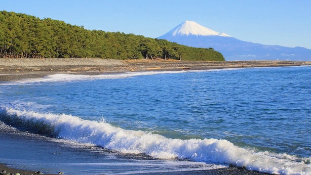 A beach with waves, a forest, and a mountain in the background. - Shizuoka Hotel Tokinosumika (Shizuoka)