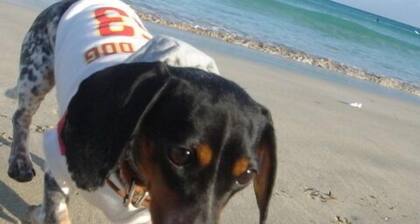 Izu Kogen Auberge La Belle Equipe