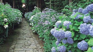 Property grounds - Hotel Stay Inn Nana Annex (Yamagata)