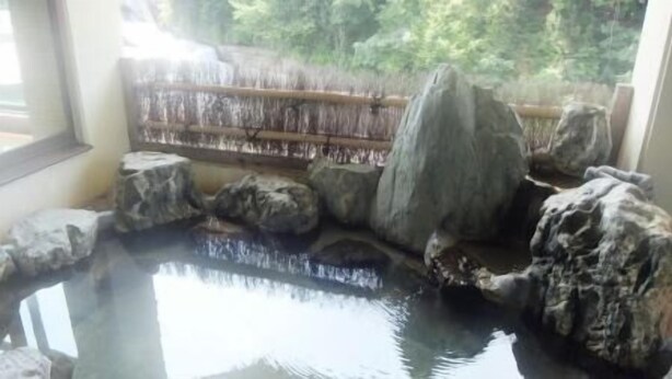 Un área de aguas termales con rocas y un puente de madera.