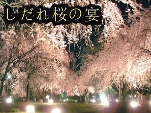 Miscellaneous - Shonan Manazuru Kashibesso Umi (Manazuru)