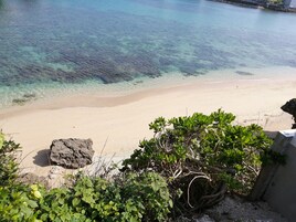 A beach with clear water, sandy shore, and some vegetation.