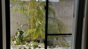 Visão através de uma porta de vidro, mostrando um jardim com diversas plantas, incluindo palmeiras e suculentas, e um muro de concreto ao fundo.