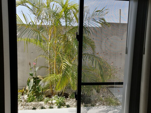 A view through a glass door of a garden with various plants, including palm trees and succulents, and a concrete wall in the background. - Salty House (Urasoe)