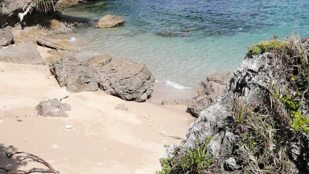 Uma praia com águas cristalinas, afloramentos rochosos e vegetação rasteira.