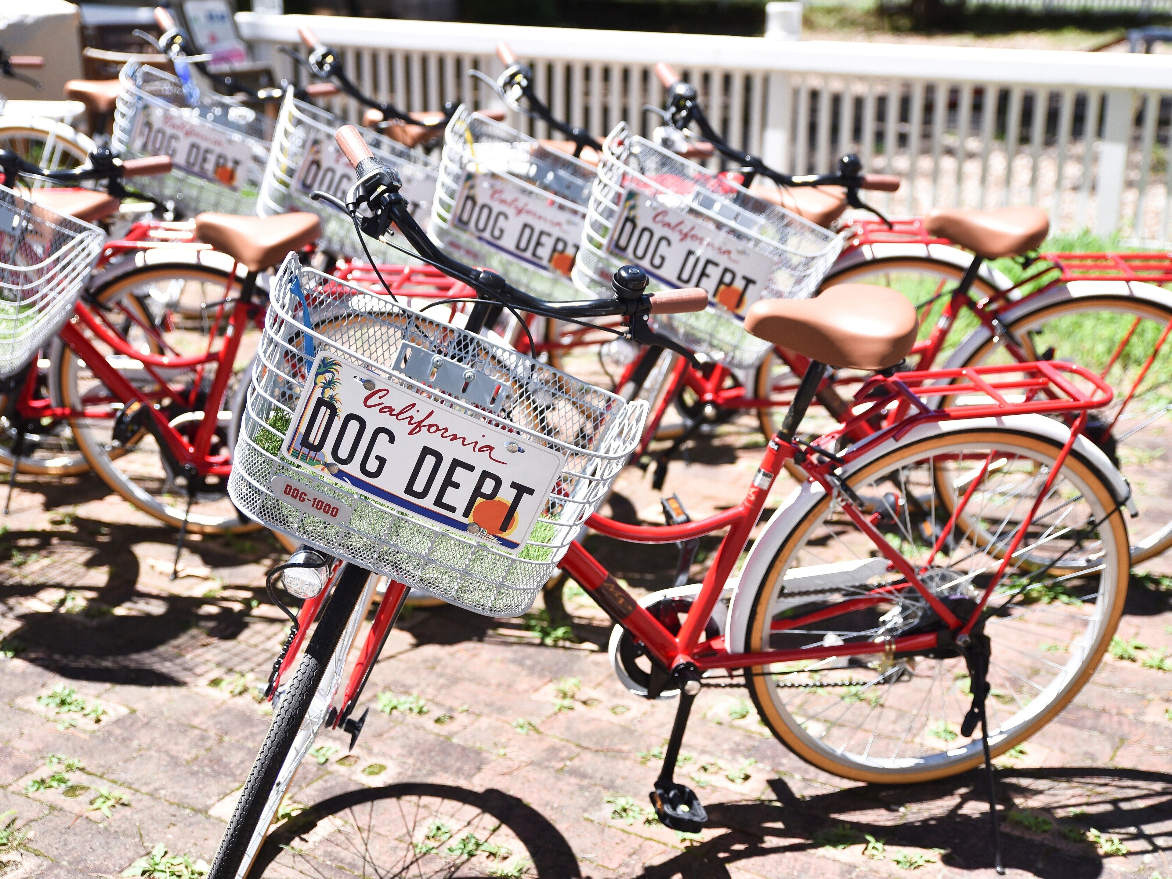 A row of red bicycles with baskets labeled "DOG DEPT" parked on a paved surface.