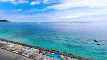 A coastal view with clear blue water, a colorful mural on a barrier, and a distant shoreline.