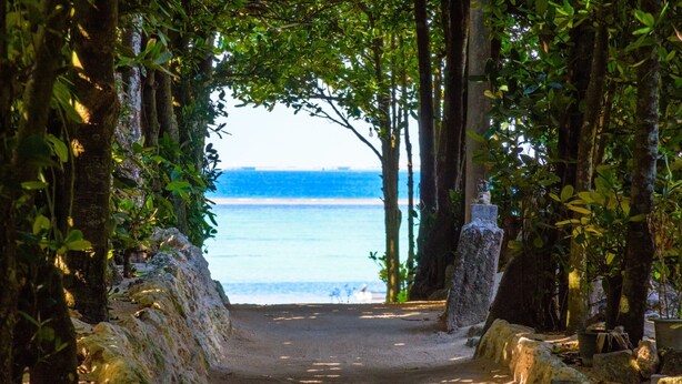 A pathway leading to a beach with a view of the ocean, surrounded by trees and rocks. - Bise Nob's Village (Motobu)