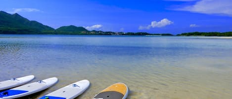 海灘