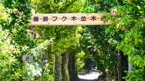 A wooden sign with Japanese characters, surrounded by lush green foliage and trees. - Bise Nob's Village (Motobu)