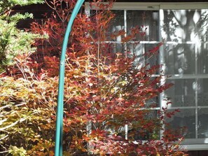 Exterior detail - Pension Motown (Tsumagoi)