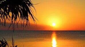 Beach - Tabinoteitaku Okinawa Bise Homann Concept (Motobu)