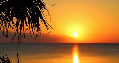 Tabinoteitaku Okinawa Bise Homann Concept