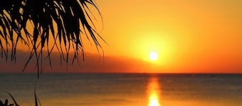 Tabinoteitaku Okinawa Bise Homann Concept