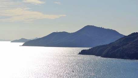 Imagen general. Shodoshima Oasis