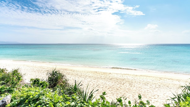 Unclassified image, 1 of 11, button - Green Beach Iejima <iejima> (Ie)