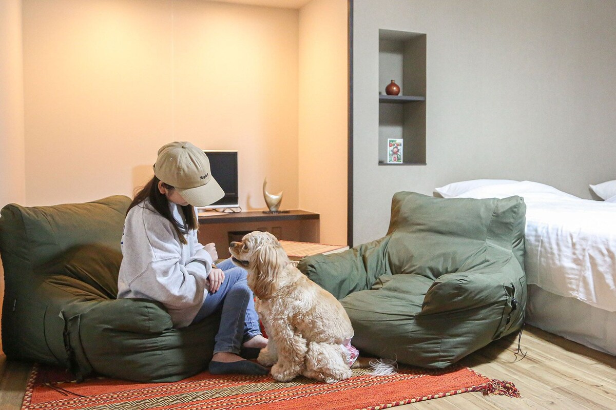 A room with a green sofa, a bed with white bedding, a small rug, and a television on a stand.