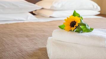 Chambre Double Supérieure | Wi-Fi gratuit