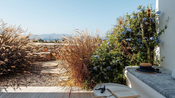 A patio with a stone pathway, a table with a book and glasses, and a wall with climbing plants and flowers. - Julies, Sunset Bliss Apartment – Agia Anna (Naxos)