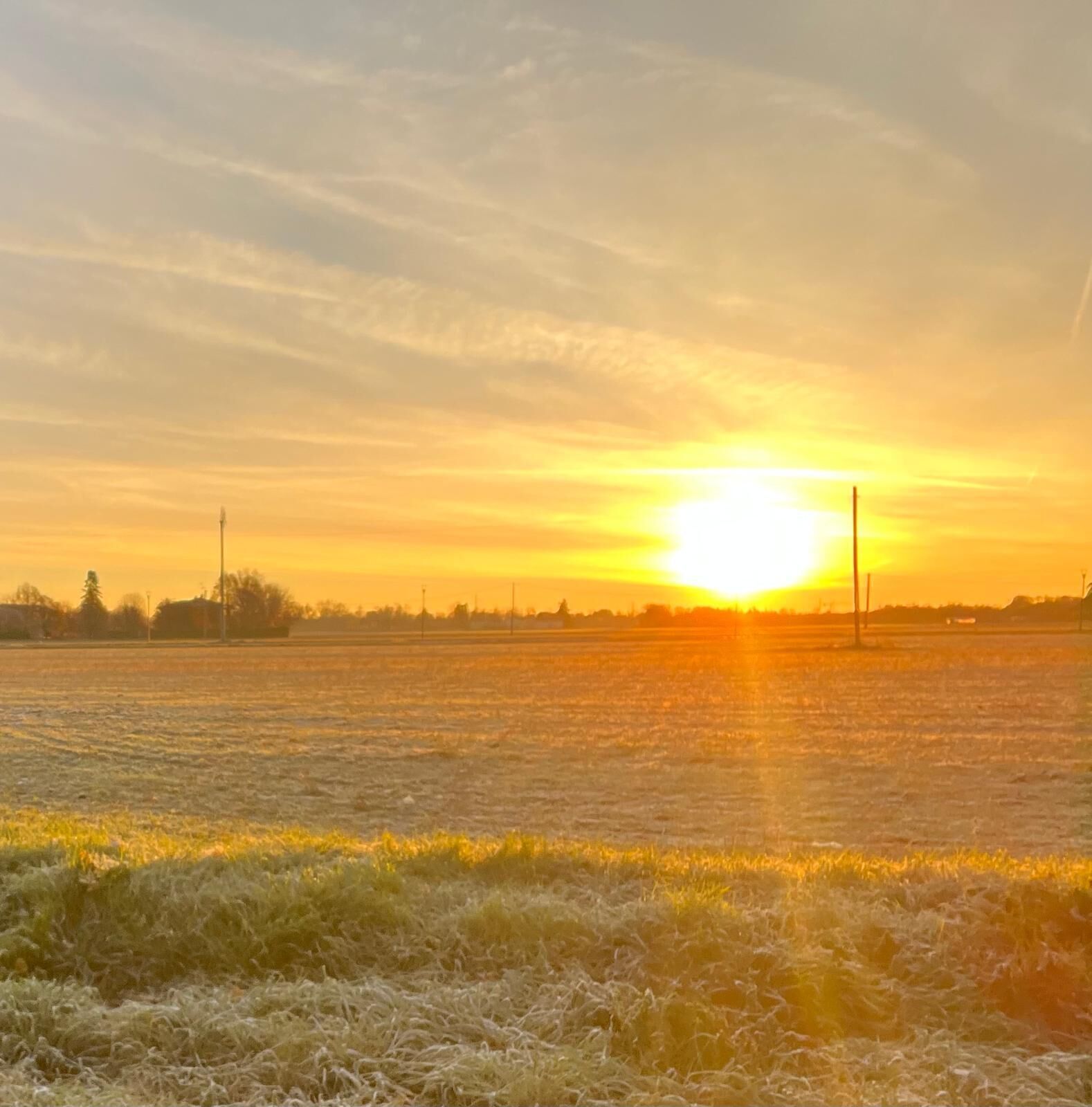 A sunset over a flat landscape with a clear horizon and distant trees.