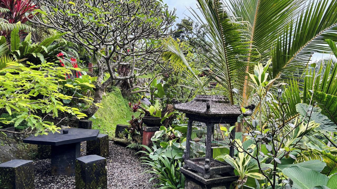 Panoramic Bungalow, 1 Bedroom, Balcony, Garden View | Interior entrance