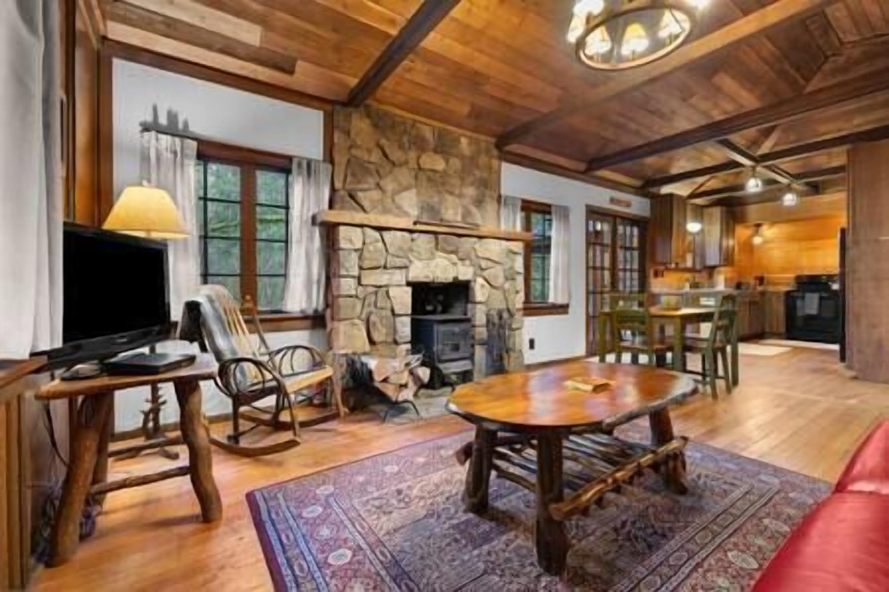 TV, fireplace, books