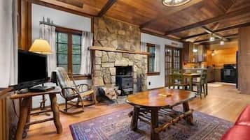 TV, fireplace, books